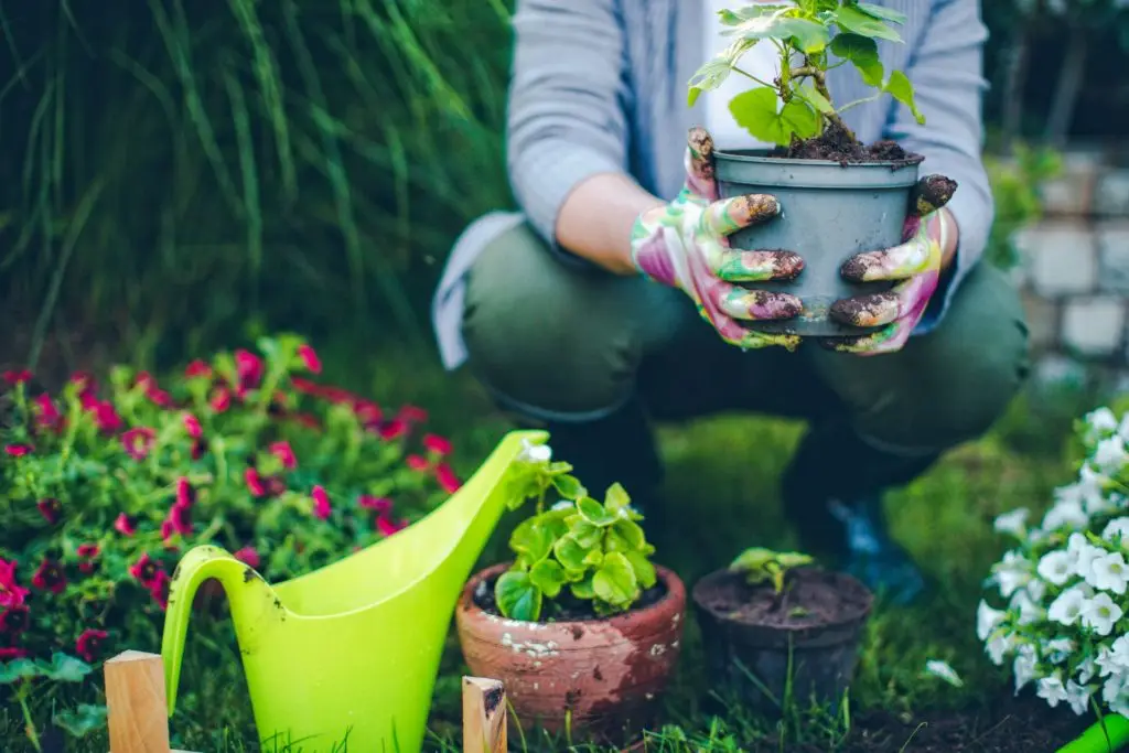 Gardener